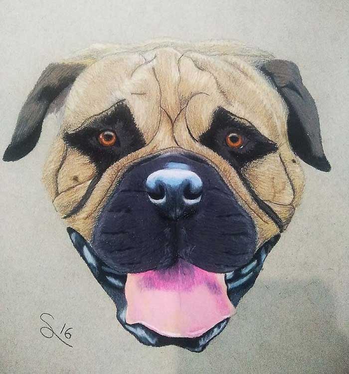 Lt Retratros Mascotas dibujo de mascota